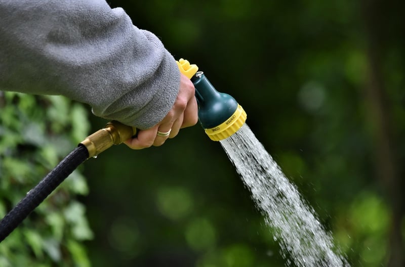 Fairy-tale watering cans