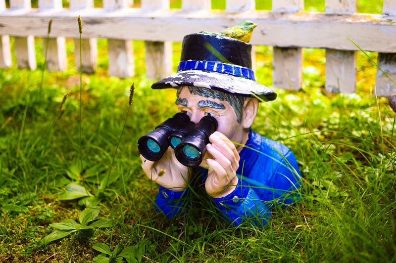 Garden Gnome