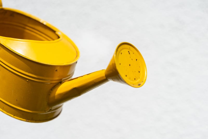 Wand Watering Can